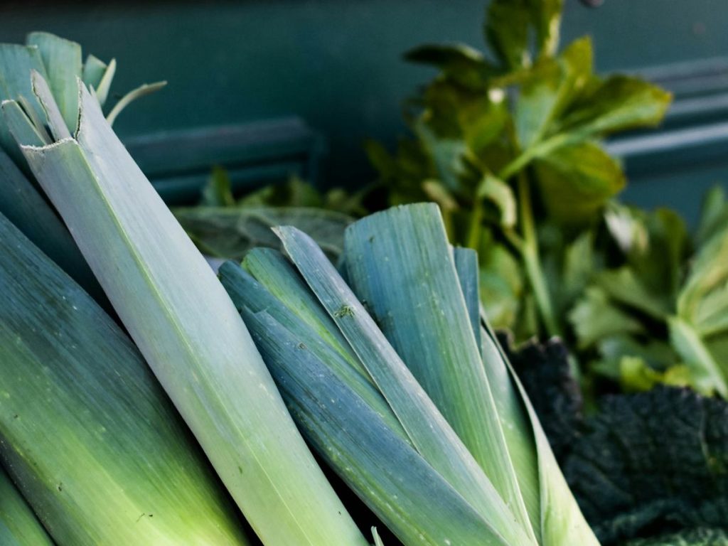 Leeks at the market